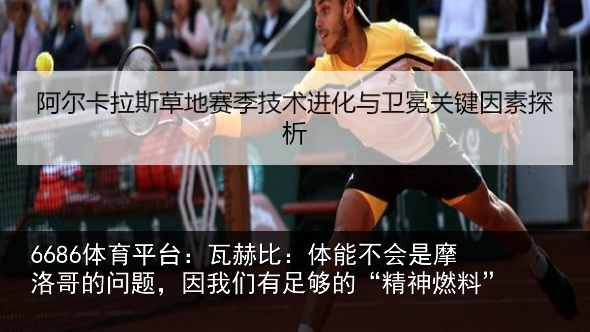 6686体育平台：瓦赫比：体能不会是摩洛哥的问题，因我们有足够的“精神燃料”