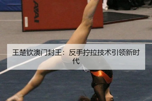 wang-chu-qin-ao-men-feng-wang-fan-shou-ning-la-ji-shu-yin-ling-xin-shi-dai-2-237.jpg
